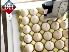 Piccola stampante a getto d'inchiostro per uova Intelligent Egg Inkjet Printer completamente automatico
