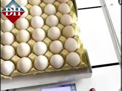 Piccola stampante a getto d'inchiostro per uova Intelligent Egg Inkjet Printer completamente automatico