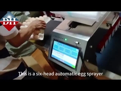Stampa a 6 ugelli automatica con spray di uova